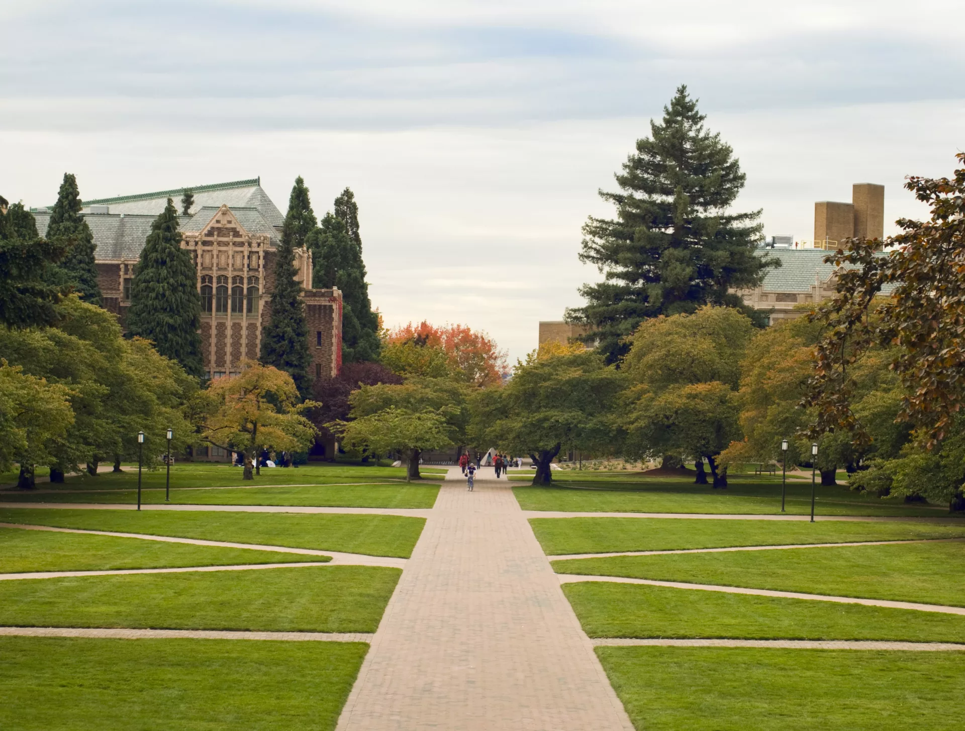 college campus paths representing knowledge management in higher education