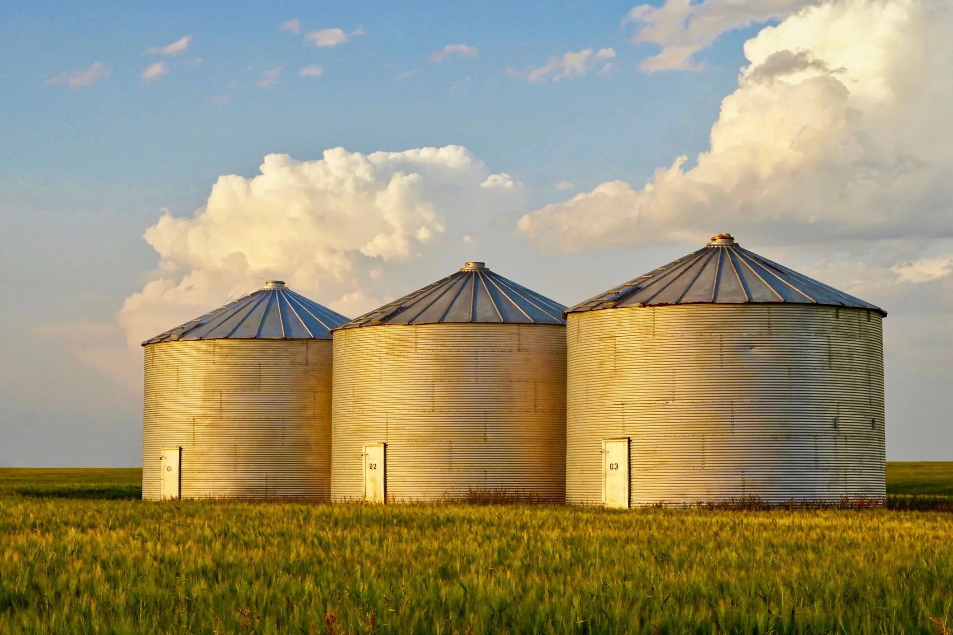 Three grain silos in field help illustrate 