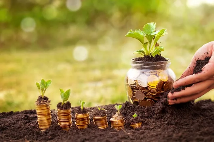 jar of money with plant represents lead nurturing content