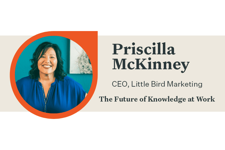 Priscilla McKinney CEO of LIttle Bird Marketing Q&A baner