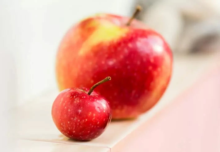 small and large apples represent knowledge sharing challenges for companies of all sizes