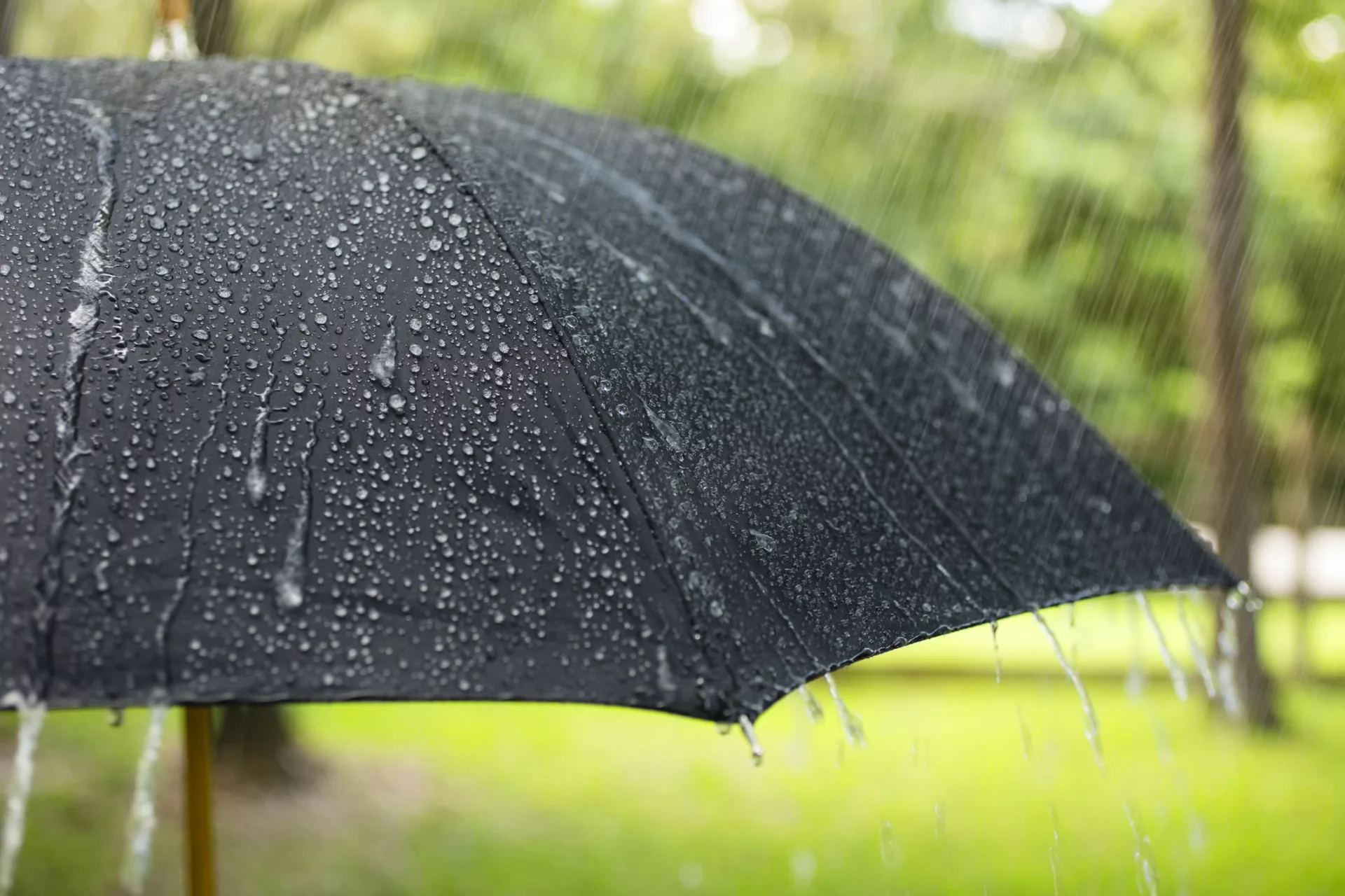 umbrella in rain representing the ways knowledge management minimizes risk