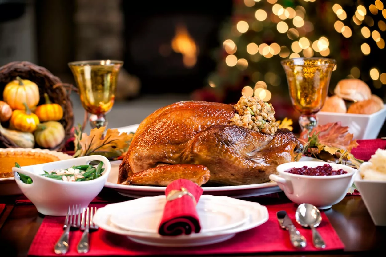 Elegant Thanksgiving turkey dinner